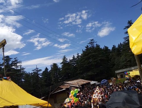 Orchard Experience photo