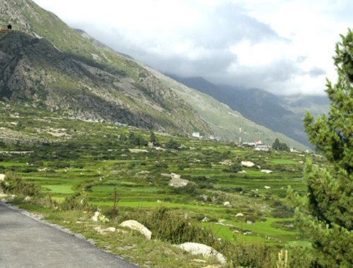 Chitkul
