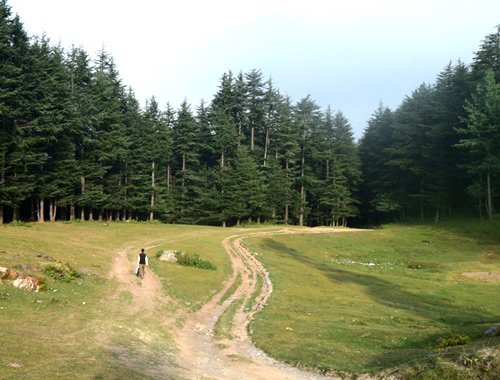Kufri